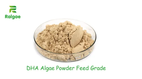 동물 먹이 DHA 첨가물 CAS6217를 위한 미세조류 Schizochytrium DHA 조류 분말 18% DHA