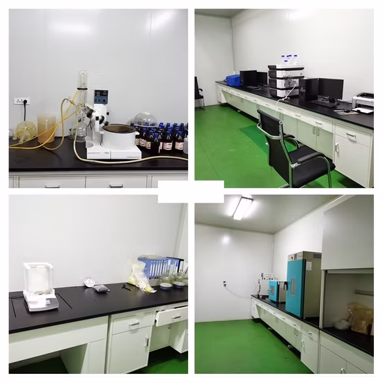 고품질 DHA 마이크로캡슐 분말/DHA 조류 오일 정신키트리움 DHA 분말